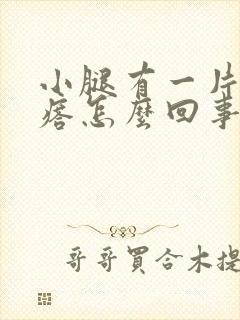 小腿有一片小疙瘩怎么回事