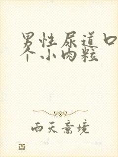 男性尿道口有一个小肉粒