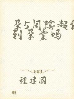 孕5周阴超能看到孕囊吗