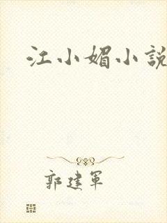 江小媚小说封面