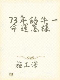 73年的牛一生命运怎样封面