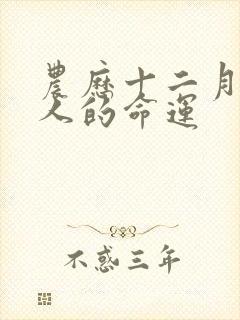 农历十二月属马人的命运