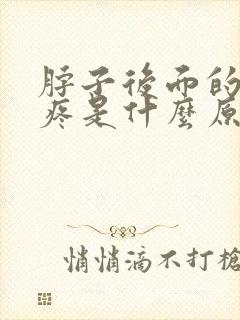 脖子后面的左侧疼是什么原因引起的