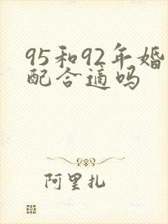 95和92年婚配合适吗封面