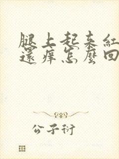 腿上起来红点点还痒怎么回事