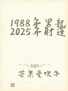 1988年男龙2025年财运