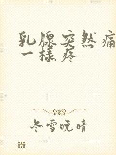 乳腺突然痛针扎一样疼封面