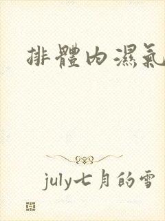 排体内湿气寒气