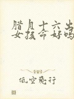 腊月十六出生的女孩命好吗封面