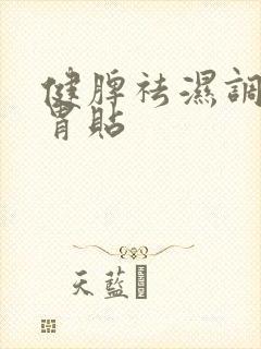 健脾祛湿调理脾胃贴