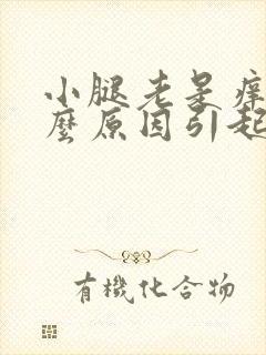 小腿老是痒是什么原因引起的