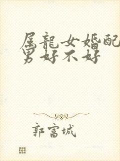 属龙女婚配属兔男好不好