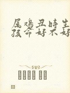 属鸡丑时生的女孩命好不好