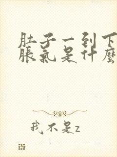 肚子一到下午就胀气是什么原因