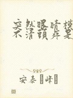 突然眼睛模糊看不清头疼是怎么回事