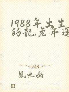 1988年出生的龙,兔年运势怎么样