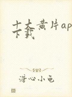 十大黄片app下载