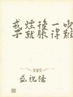 戒烟后一吃饭肚子就胀得难受怎么办封面