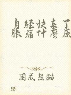 月经快来了乳房胀痛什么原因