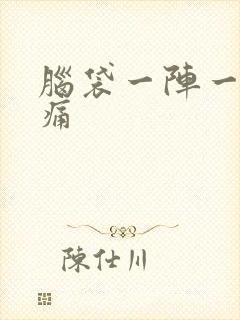 脑袋一阵一阵刺痛