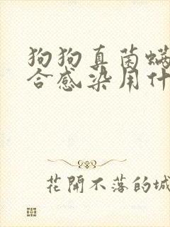 狗狗真菌螨虫混合感染用什么药最好