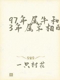 97年属牛和03年属羊相配婚姻如何封面