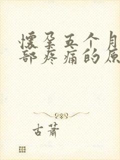 怀孕五个月上腹部疼痛的原因