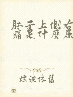 肚子上侧右侧疼痛是什么原因