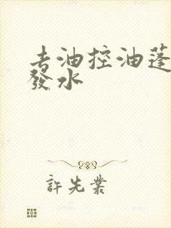 去油控油蓬松洗发水