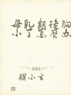 母乳期后胸下垂小了怎么办封面