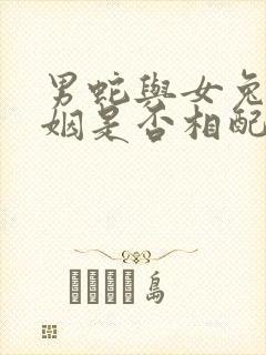 男蛇与女兔的婚姻是否相配财运怎样