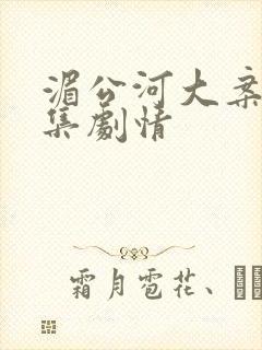 湄公河大案34集剧情