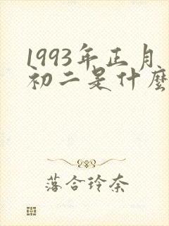 1993年正月初二是什么命