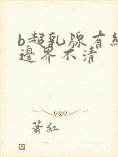 b超乳腺有结节边界不清