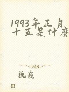 1993年正月十五是什么命