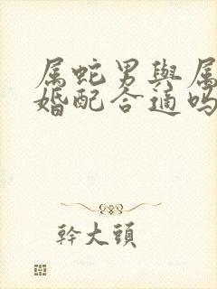 属蛇男与属龙女婚配合适吗封面