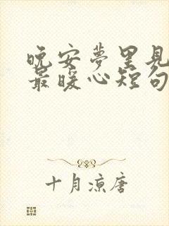 晚安梦里见情话最暖心短句封面