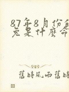 87年8月份的兔是什么命