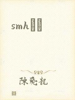 smhС˵封面