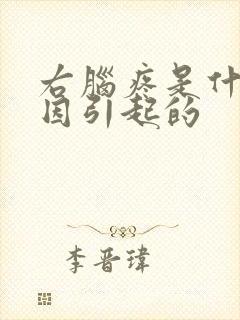 右脑疼是什么原因引起的