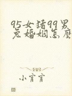 95女猪99男兔婚姻怎么样封面