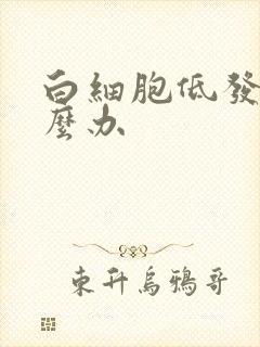 白细胞低发烧怎么办