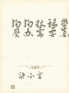 狗狗拉稀带血怎么办需要怎么治疗