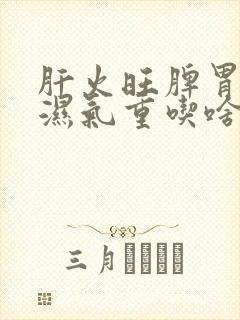 肝火旺脾胃虚寒湿气重吃啥药