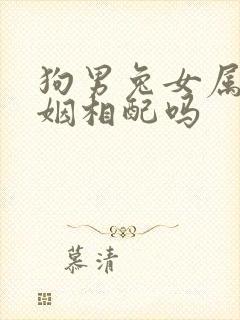 狗男兔女属相婚姻相配吗