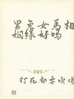 男兔女马相配的姻缘好吗