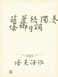 葫芦丝独奏春满傣乡g调