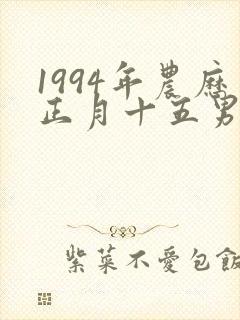 1994年农历正月十五男命