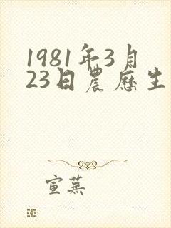 1981年3月23日农历生日命运
