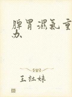 脾胃湿气重怎么办封面